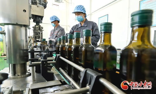 高台县 以矿物加工思维赋能农产品精深加工产业链升级