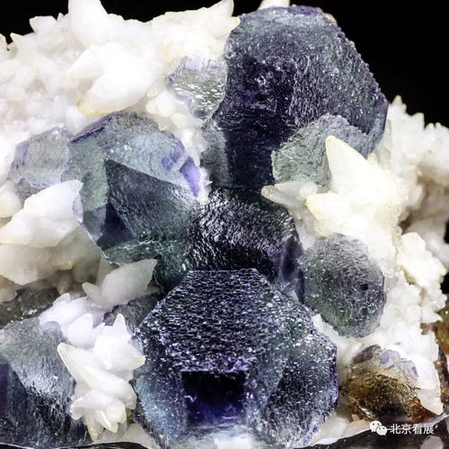 国内顶级矿物晶体首次展出，彰显科学价值与艺术魅力