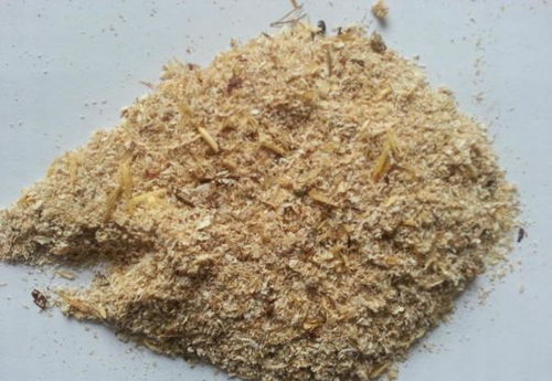 小麦麸皮与矿物加工 助力健康减肥的双重优势