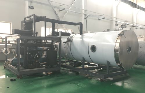 宠物食品冻干机在三文鱼冻干加工中的应用与矿物加工的影响